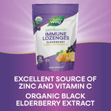 Nature's Way Sambucus Zinc Lozenges: ingredientes naturales sin conservantes artificiales
