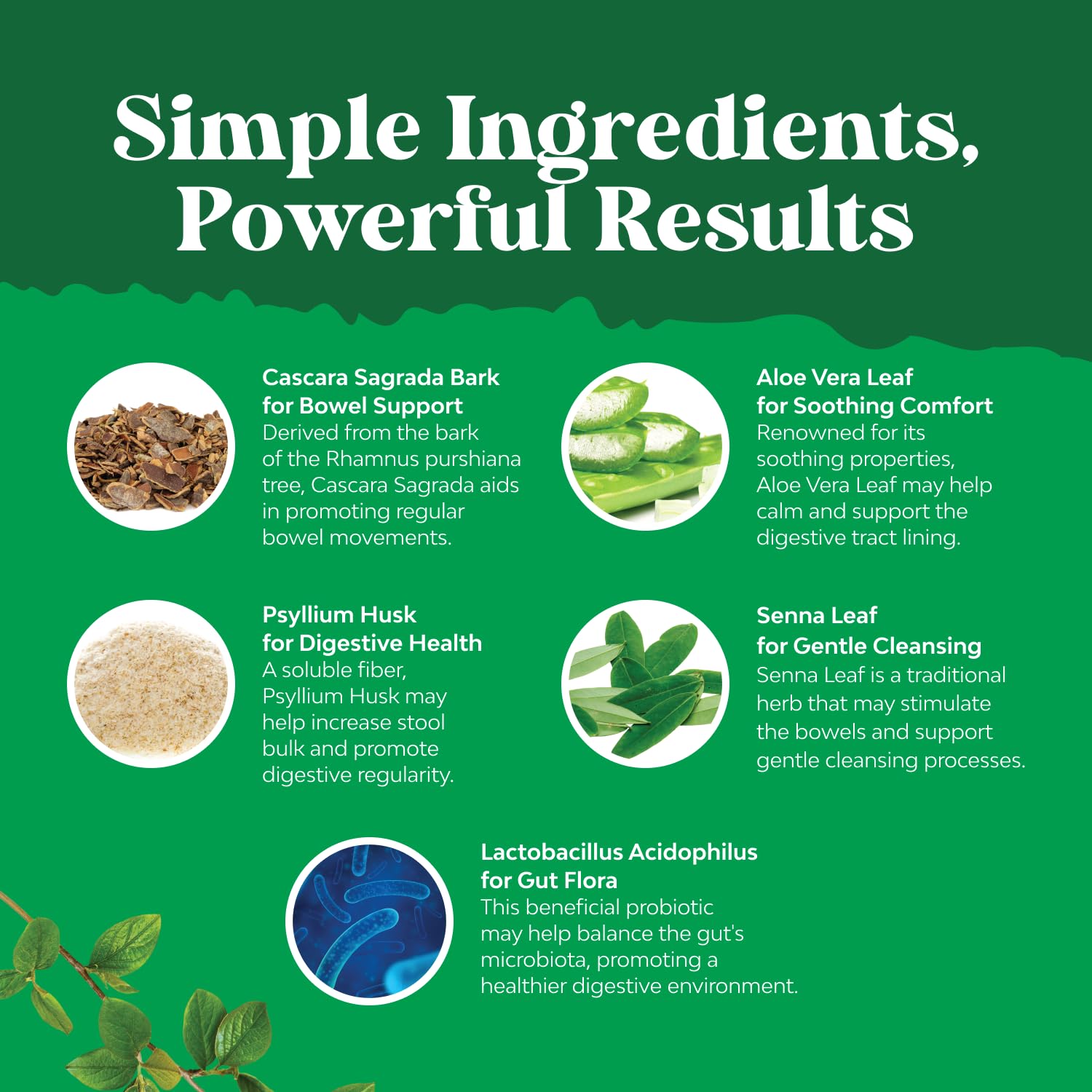 Lactobacilos probióticos de NaturesCraft, soporte para el equilibrio intestinal diario.