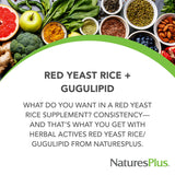 NaturesPlus Herbal Actives cápsulas, levadura roja para consumo diario
