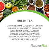 Etiqueta de NaturesPlus Herbal Actives Té Chino Verde con antioxidantes visibles.