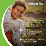 NaturesPlus Animal Parade, etiqueta vegana y sin gluten para niños.