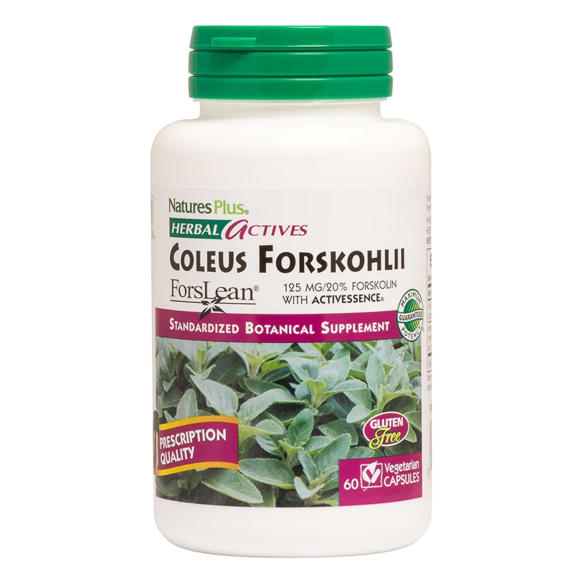 Cápsulas vegetarianas de NaturesPlus Coleus Forskolii en botella para uso diario