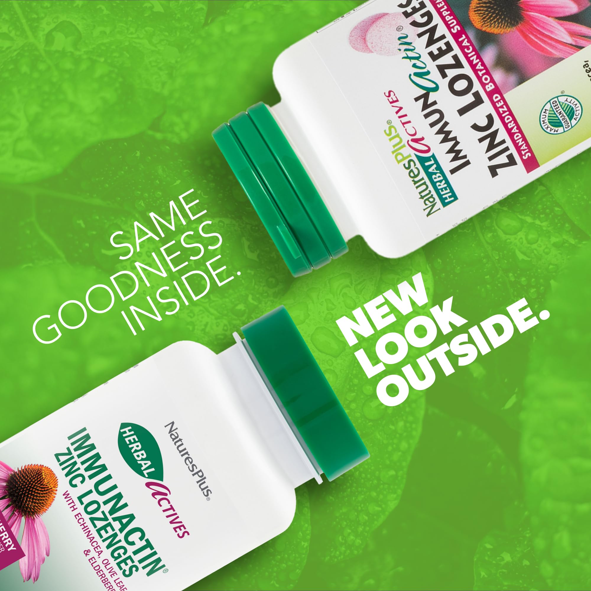 ImmunActin de NaturesPlus con equinácea, saúco y hoja de olivo para bienestar herbal