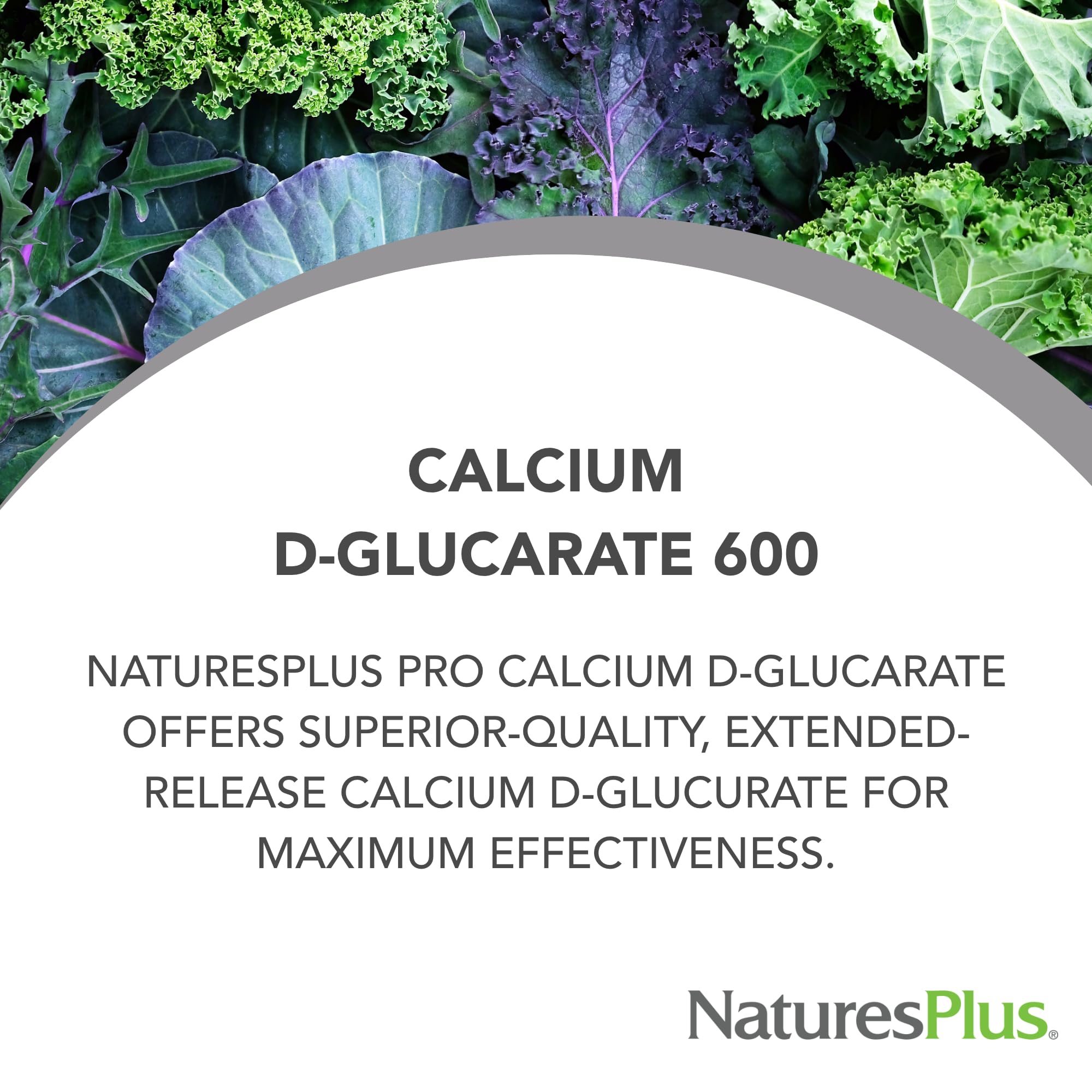 Etiqueta clara de NaturesPlus PRO Calcium D-Glucarate para identificar ingredientes