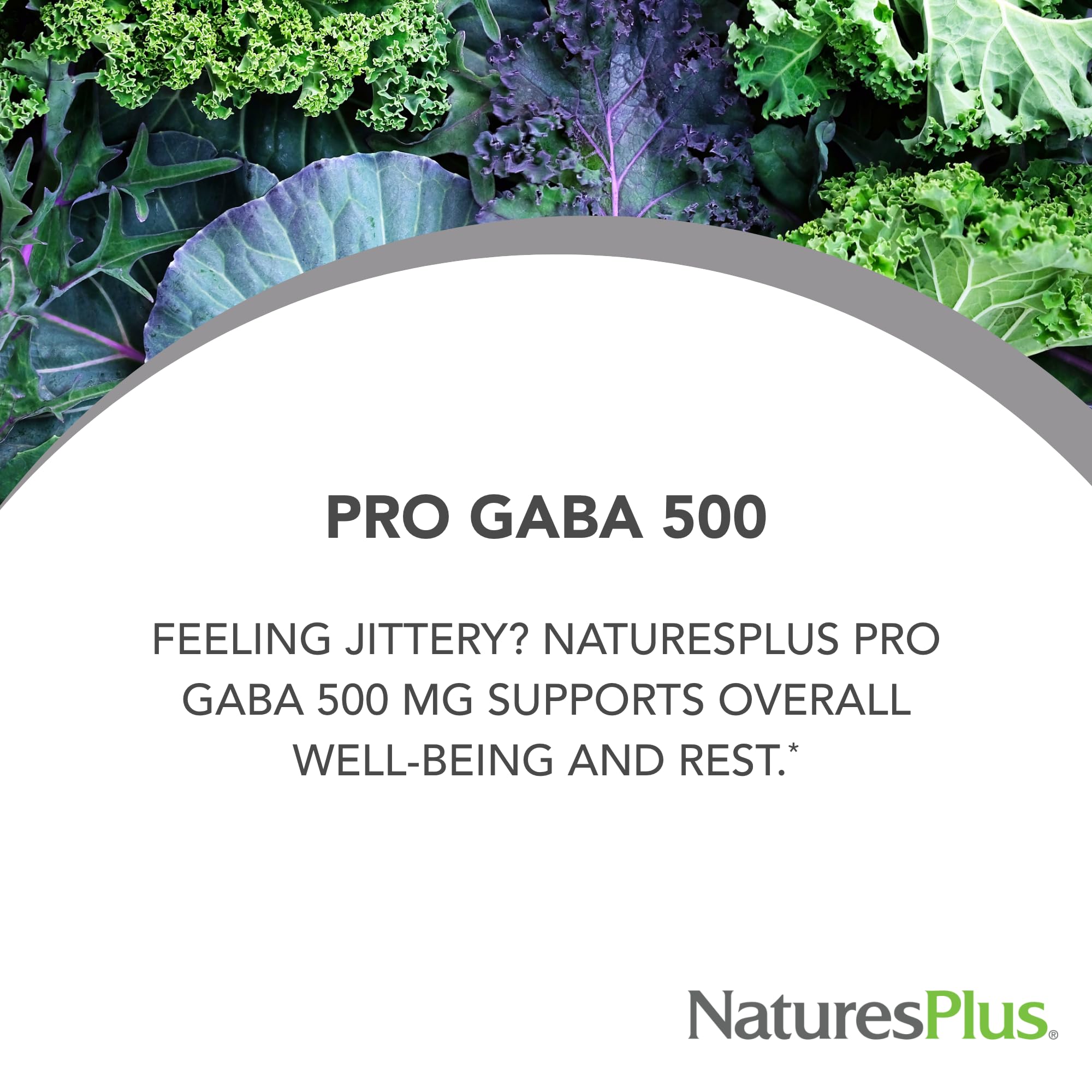 NaturesPlus PRO GABA cápsulas, etiqueta clara que facilita identificar sus beneficios.