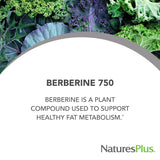 NaturesPlus PRO Berberine 750 mg botella vertiendo, experiencia de consumo suave.