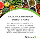 NaturesPlus Source of Life GOLD Energy Shake, bote porciones, conveniente para la rutina diaria