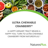 Frasco de 90 tabletas de NaturesPlus Ultra Cranberry para uso diario.