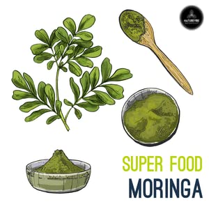 Naturevibe Botanicals Moringa, polvo verde premium para batidos y jugos.