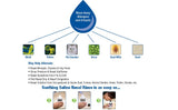NeilMed Sinus Rinse Kit regular de 240 ml para adultos.
