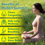 NenMaoKeNu gomitas mullein: opción conveniente para estilo de vida activo.