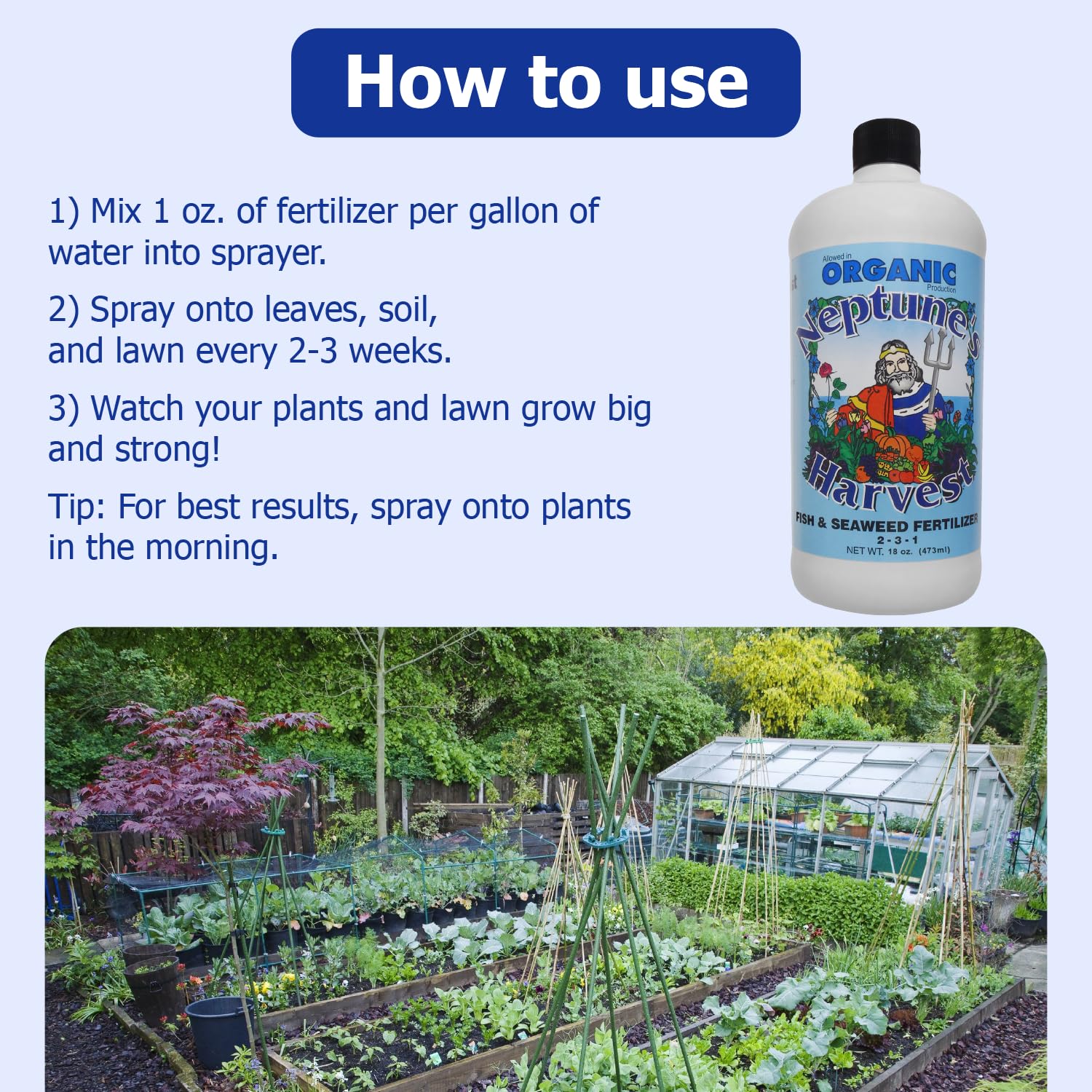 Aplicación foliar de Neptune's Harvest para color y vitalidad en flores y vegetales.