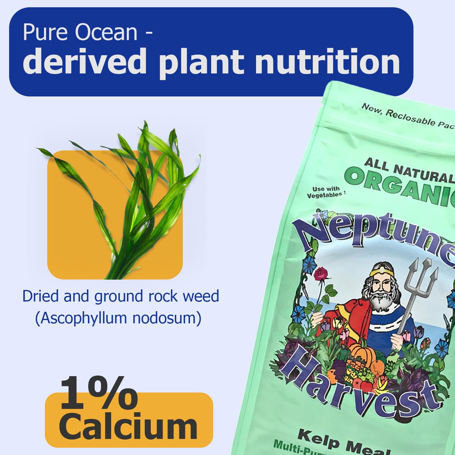 Raíces fuertes de plantas gracias a la Harina de Alga de Neptune’s Harvest.