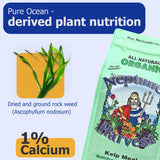 Raíces fuertes de plantas gracias a la Harina de Alga de Neptune’s Harvest.