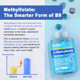 NEVISS L-metilfolato gummies metilación: apoya procesos de metilación de forma natural.