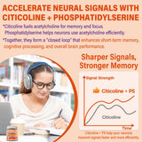 NEVISS omega-3 derivado de algas, ayuda a la estructura de membranas neuronales.
