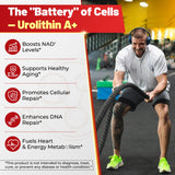 Recuperación muscular más rápida con NEVISS Urolitina A.