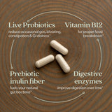 New Chapter All-Flora Enzyme Complex, cápsulas veganas, convenientes para la rutina diaria.