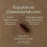 New Chapter Elderberry Force: ingredientes principales saúco negro y Grosella negra para soporte natural