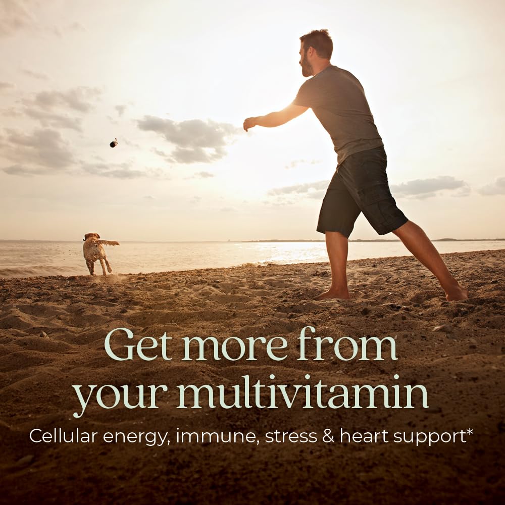 New Chapter multivitamínico para hombres, envase en mano, listo para una dosis diaria.