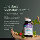 New Chapter Prenatal jengibre para alivio suave