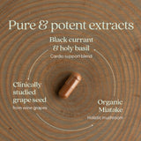 New Chapter Take Care: extracto de semillas de uva para beneficios naturales