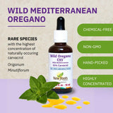 Plantas de orégano silvestre para NEW ROOTS HERBAL, fragancia herbal natural