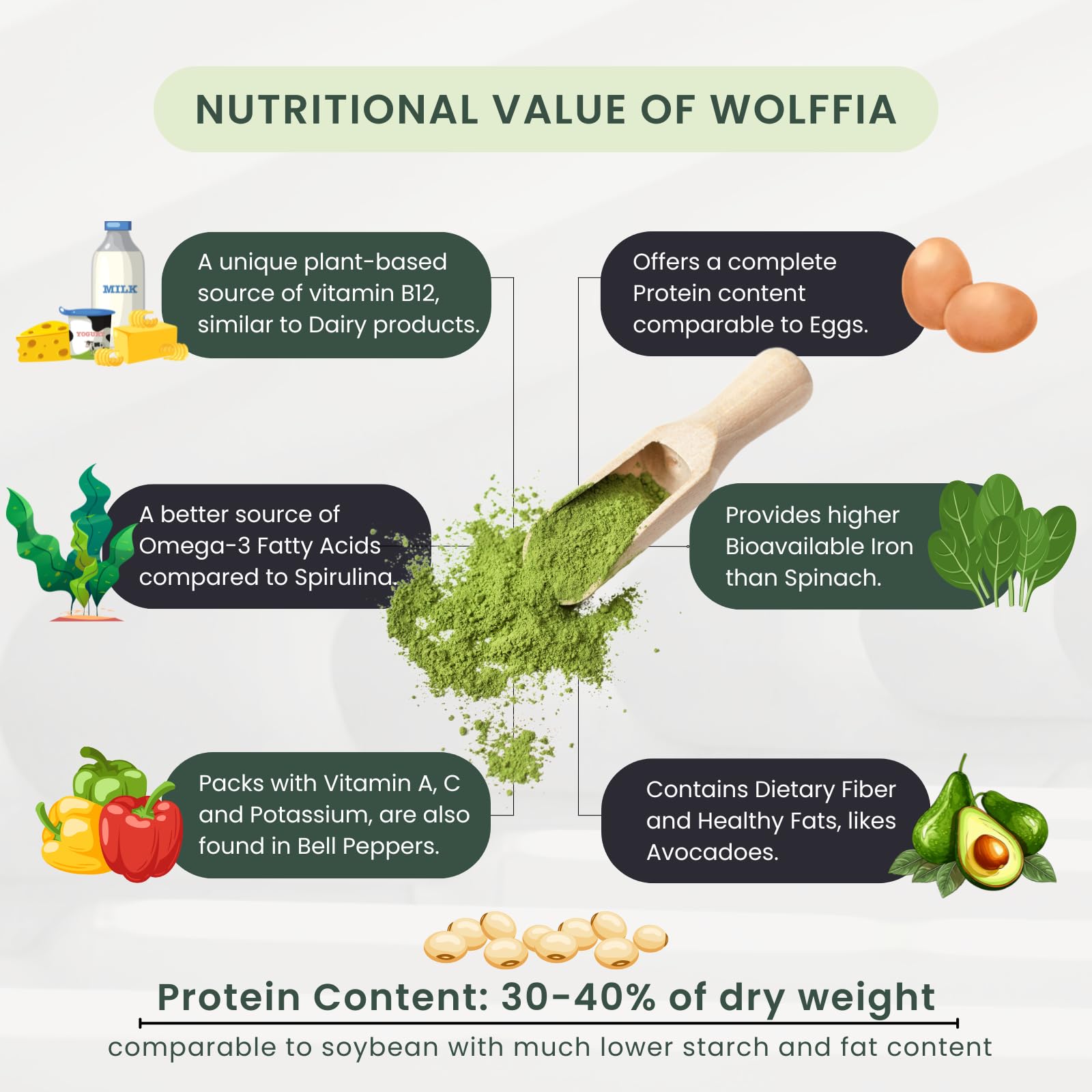 Newday Bottles Wolffia Globosa, proteína alta para recetas veganas.