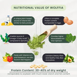 Newday Bottles Wolffia Globosa, proteína alta para recetas veganas.