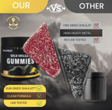 Observa energía y bienestar con gominolas Newrish Shilajit.
