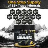 Recuperación posentreno con gominolas Newrish Shilajit, energía sostenida.