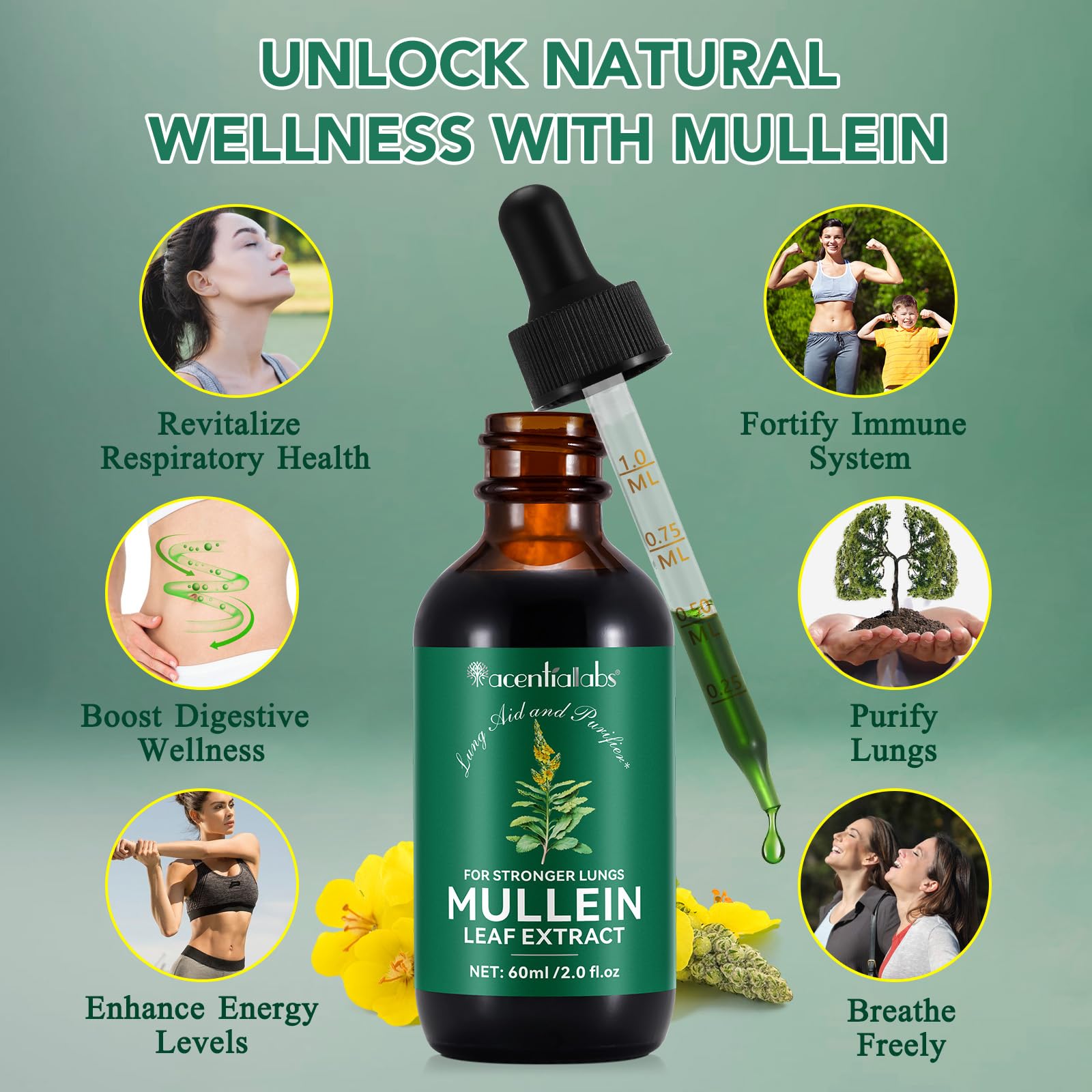 newseel Gordolobo gotas clorofila, tono verde natural