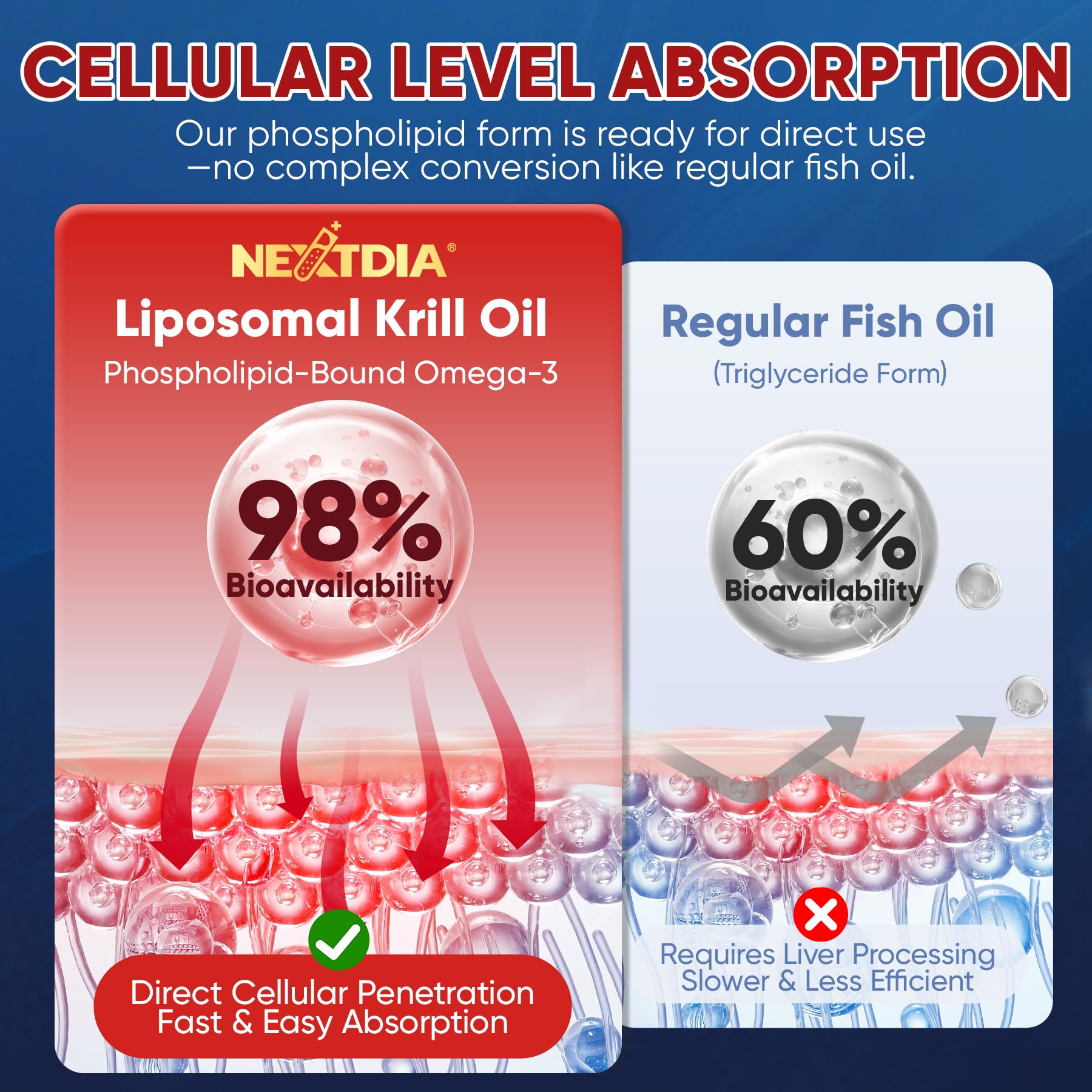 Tecnología liposomal de Nextdia ofrece absorción celular mejorada de Omega-3.