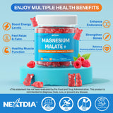 Etiqueta detallada de Nextdia gomitas magnesio malato con ingredientes