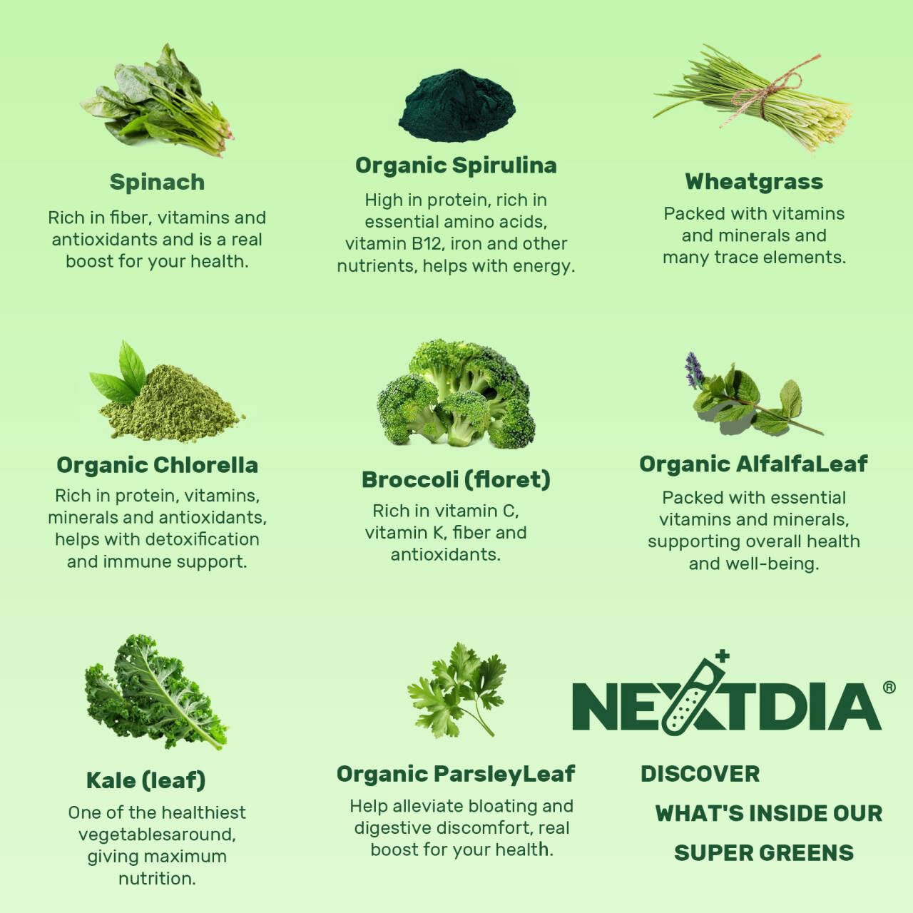 Nextdia Super Greens zinc y vitaminas para energía sostenida
