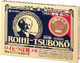 Parches Roihi-tsuboko de Nichiban, paquete con tamaño grande para cobertura amplia.