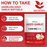 NIFEISHI: ingredientes orgánicos de ajo de alta pureza