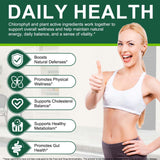 Proteínas vegetales y nutrientes esenciales para el equilibrio diario