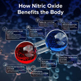 Compatibilidad vegana, paleo y keto de NO2U Bryan Nitriceuticals para vida activa