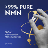 Nobi Nutrition NMN botella de 60 cápsulas para uso diario.