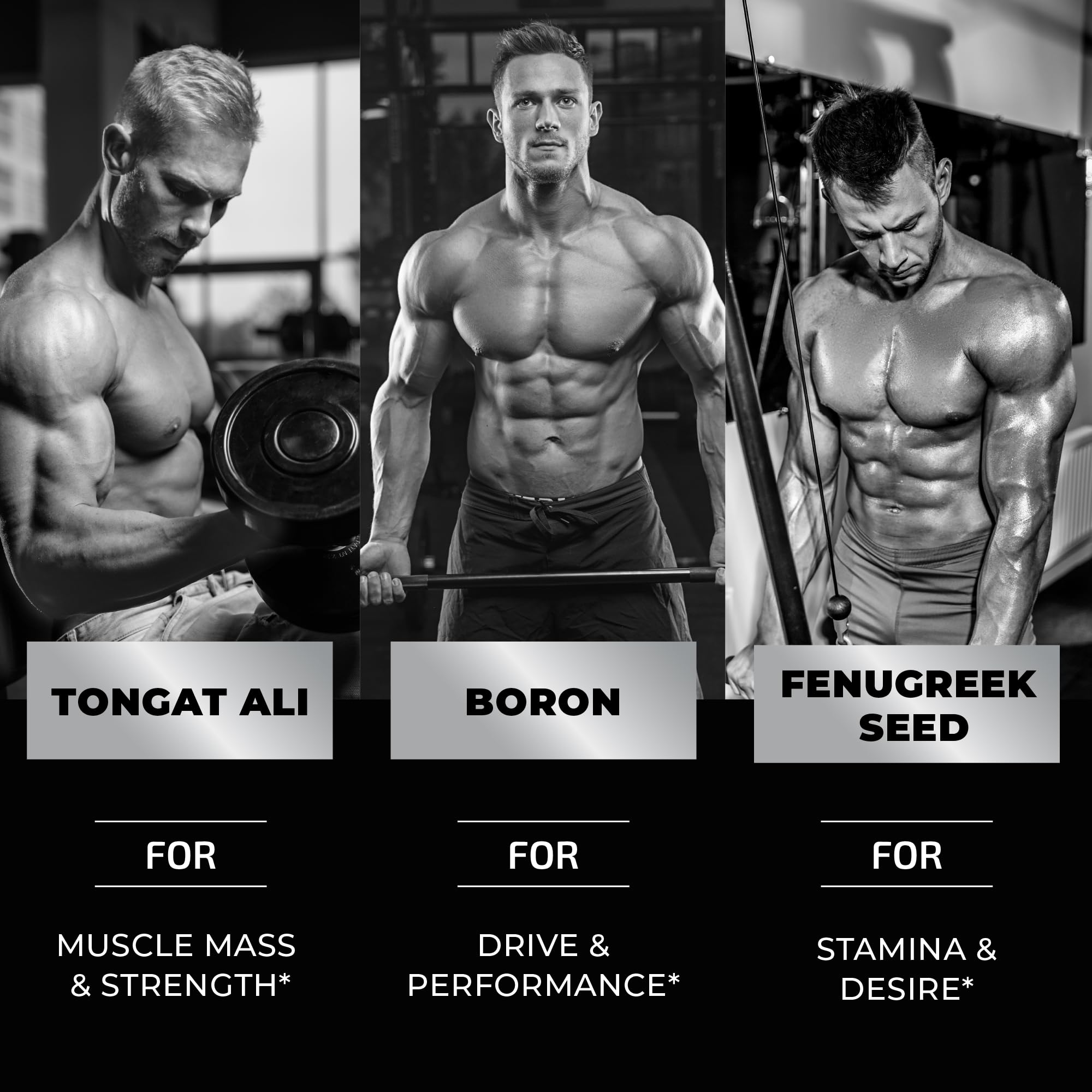 Nobi Nutrition Test Boost Max gomitas en gimnasio, apoyo para entrenamientos intensos
