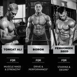 Nobi Nutrition Test Boost Max gomitas en gimnasio, apoyo para entrenamientos intensos
