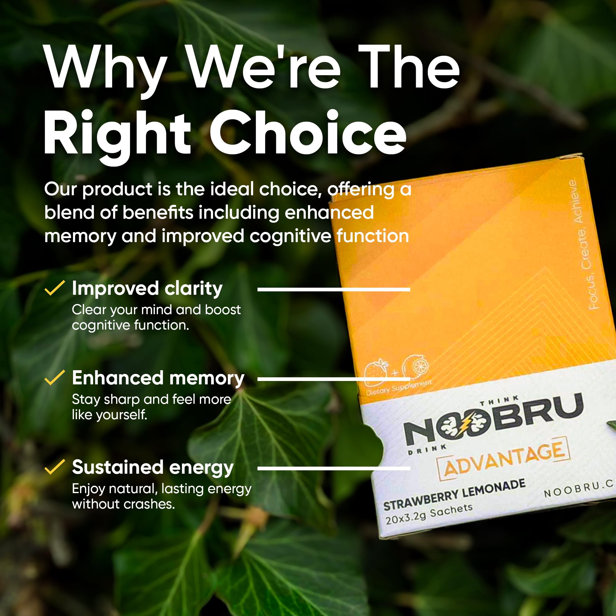 Noobru Advantage 11 ingredientes clave para soporte cognitivo y memoria