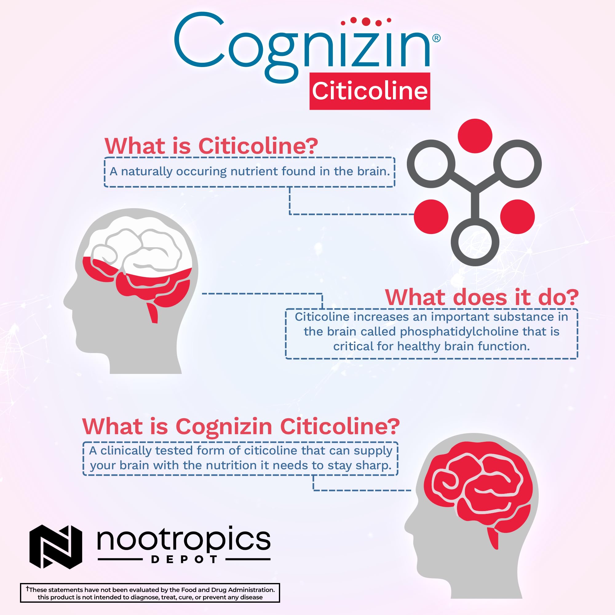Detalle del envase Cognizin, claridad mental potencial