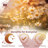 Nootropics Depot Apigenin cápsulas paquete: conveniente para viaje.