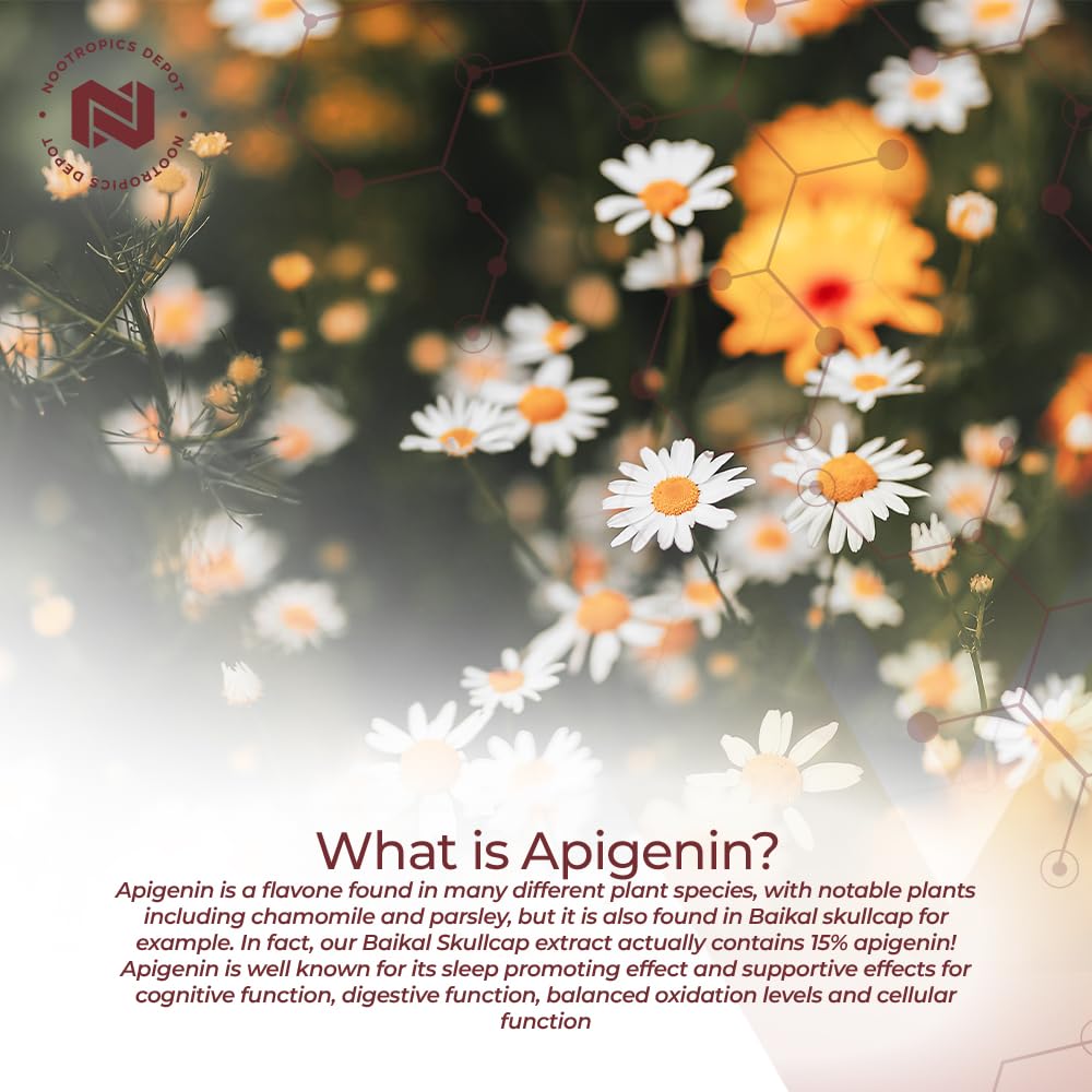 Nootropics Depot Apigenin cápsulas vertido: dosis consistente para uso diario.