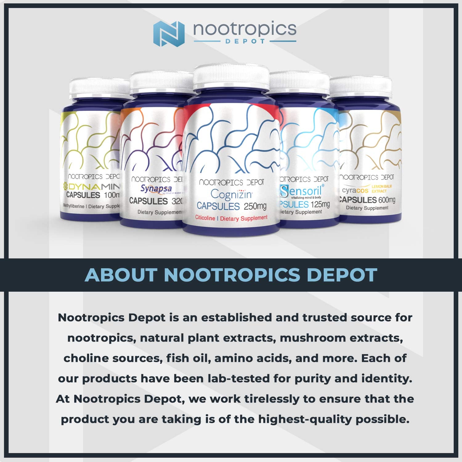 Nootropics Depot Curcumina + Piperina, cápsulas en mano, opción rápida para incluir en tu día a día.