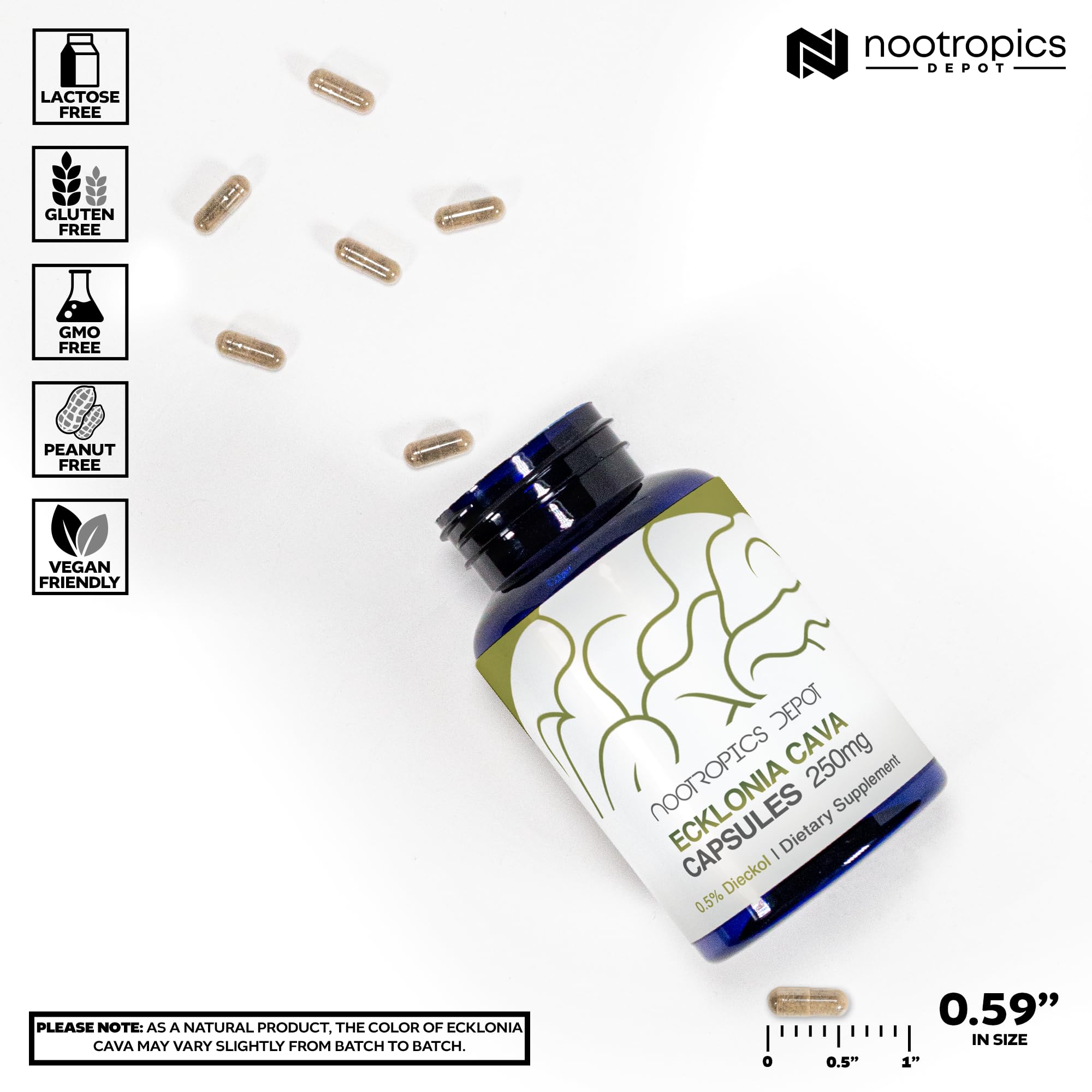 Nootropics Depot Ecklonia cava capsulas en blister, dosificacion diaria facil.