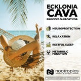Nootropics Depot Ecklonia cava envase abierto, formato practico para uso diario.