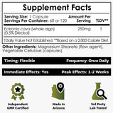 Nootropics Depot Ecklonia cava etiqueta de ingredientes, claridad para decisiones informadas.